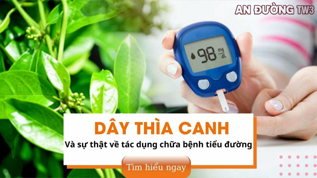 Sự thật về tác dụng chữa bệnh tiểu đường của Dây thìa canh
